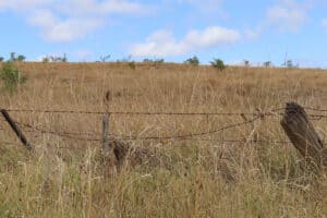 Barb Wire Fence Fail