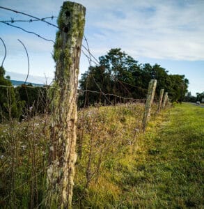 Hinge-Joint-Field-Fence