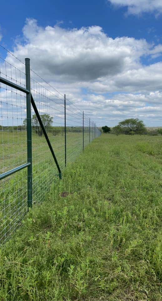 High Game Fence | Tejas Ranch & Game Fence | Texas