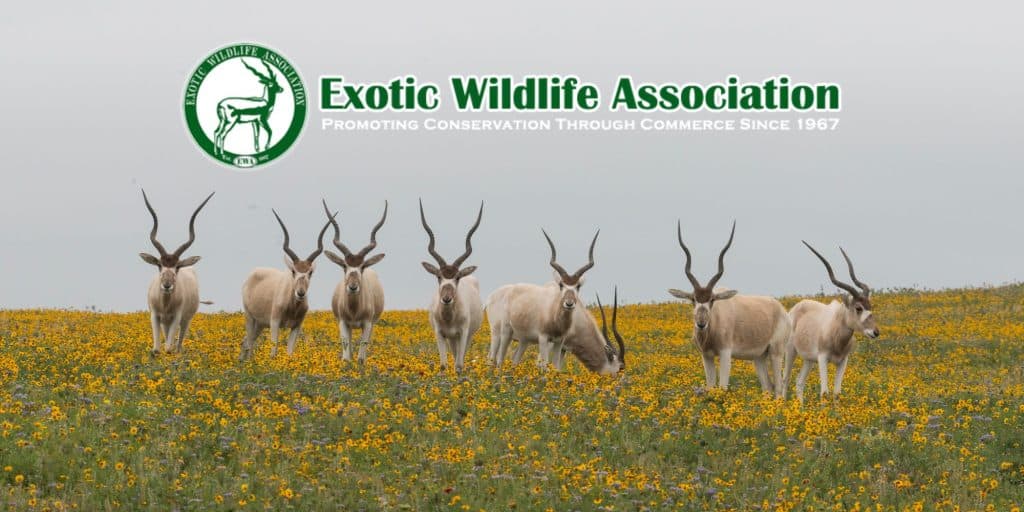 Exotic Wildlife Association