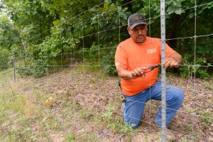 Cattle Fence Contractor