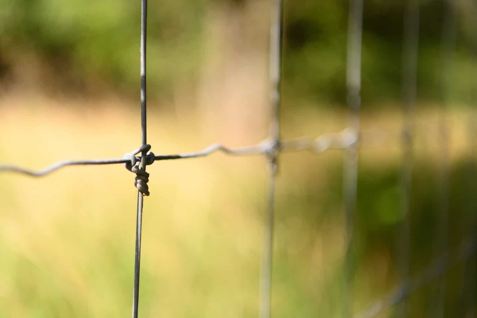 The Best High Game Fence for Trophy Whitetails and Exotics Tejas Ranch & Game Fence