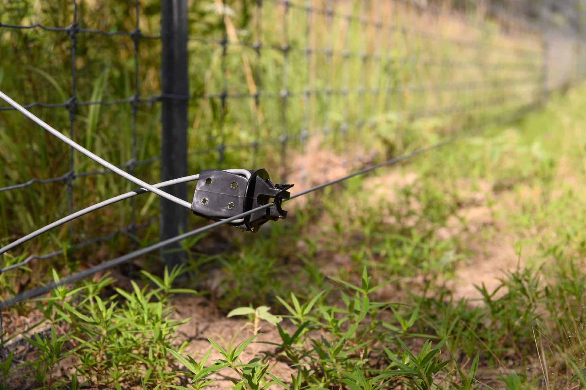 The Best High Game Fence for Trophy Whitetails and Exotics Tejas Ranch & Game Fence