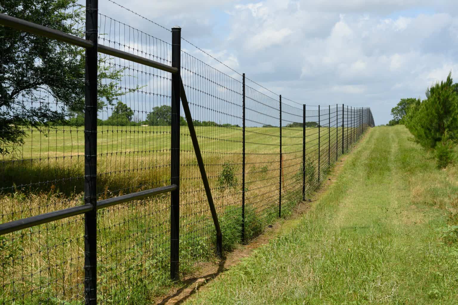 The Best High Game Fence For Trophy Whitetails And Exotics - Tejas 