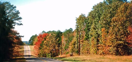 East Texas Fall