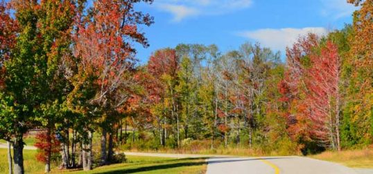 City of Athens Scenic Woods