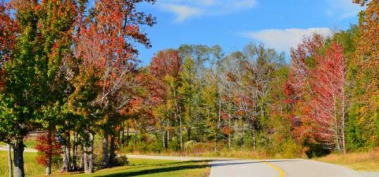City of Athens Scenic Woods