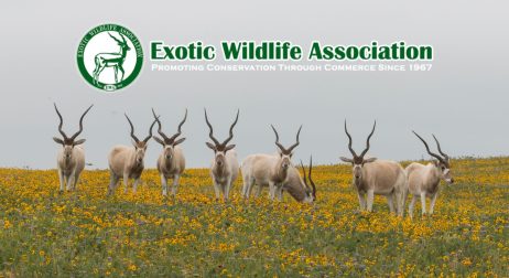 Exotic Wildlife Association
