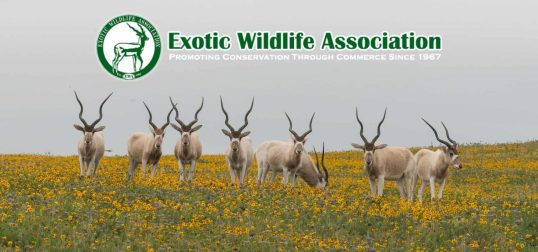 Exotic Wildlife Association