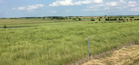 Matocha Ranch