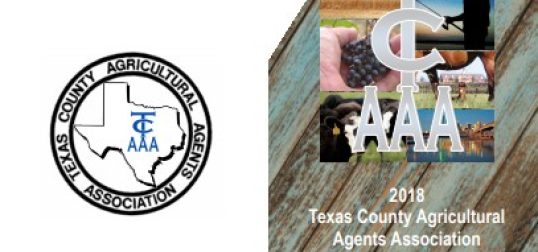 TCAAA 2018