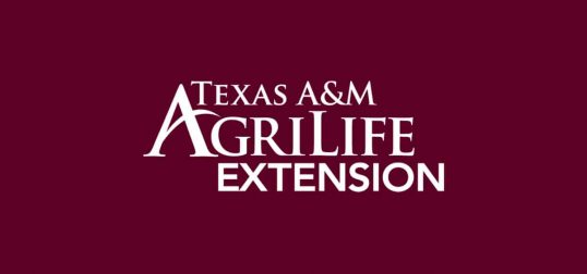 Texas A&M Agrilife Extension